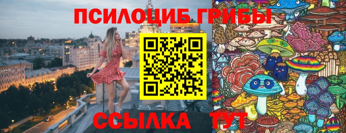 Галлюциногенные грибы Psilocybe Куйбышев