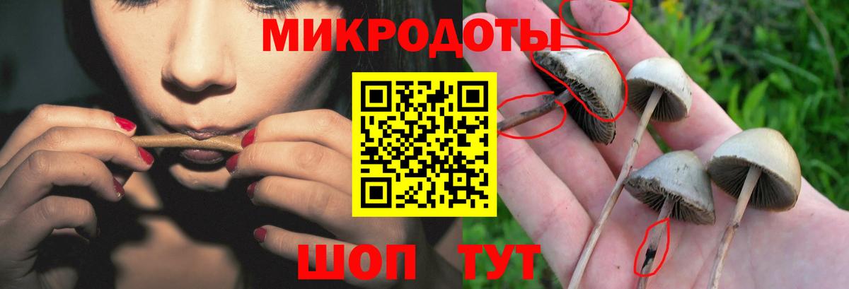 как найти закладки  Псилоцибиновые грибы прущие грибы  Вход с VPN  Галлюциногенные грибы ЛСД  Куйбышев 